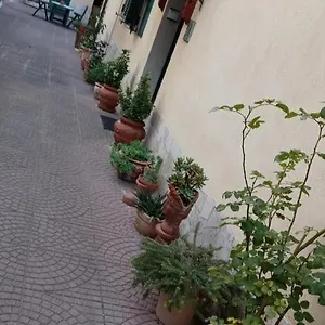 Casa Diana Roma